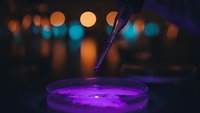 Purple cocktail with straw in glass against blurred city lights bokeh background. Nightlife bar drink with vibrant neon lighting for party atmosphere.