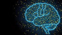 Digital brain with glowing blue circuit patterns on dark background representing artificial intelligence, machine learning and neural networks in technology.