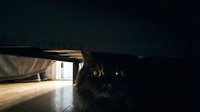 Black cat with striking yellow eyes peering from under furniture in dimly lit room, suitable for pet, mystery, and home interior design projects.