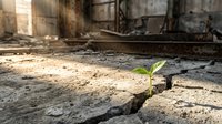 Small green plant seedling growing through crack in concrete floor of abandoned industrial building symbolizing hope, resilience and new life emerging from decay.