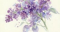 Watercolor lilac flowers with delicate purple blooms and green leaves on cream background. Soft botanical illustration for spring decor and floral designs.