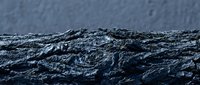 Rough textured tree bark surface with deep crevices and natural patterns in dark gray and black tones, suitable for backgrounds and nature-themed designs.