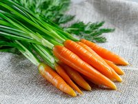 Fresh organic carrots with green tops lying on rustic linen fabric background, close up view of raw vegetables for healthy eating and cooking.