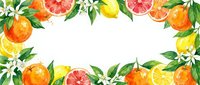 Watercolor citrus frame with oranges, lemons, grapefruits and green leaves on white background. Fresh fruit border for summer designs and healthy lifestyle.