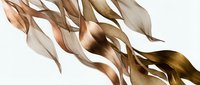 Abstract flowing ribbons in warm brown and gold tones creating elegant waves against white background for luxury design projects.
