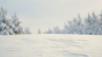 Serene winter landscape with snow-covered field and frost-laden trees under soft pastel sky creating peaceful seasonal atmosphere for holiday designs.