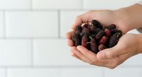 Hands holding fresh ripe blackberries against white brick background, organic berries for healthy eating, nutrition and farm produce concepts.