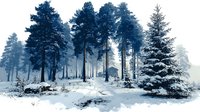 Misty winter forest landscape with tall pine trees covered in snow and a small cabin nestled among the woods, creating serene wilderness atmosphere.