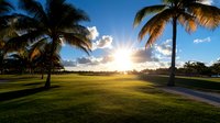 Vibrant sunset over green golf course with silhouetted palm trees casting long shadows across manicured lawn, dramatic sunburst through tropical landscape.