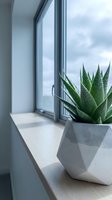 Succulent plant in geometric concrete pot on bright windowsill with modern window frame and cloudy sky view, suitable for home decor and interior design projects.
