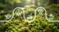 Green moss forest floor with glowing eco-friendly icons showing meditation, growth charts, renewable energy and yoga symbols for sustainable wellness concepts.