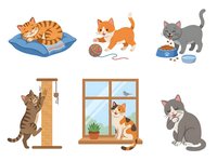 Ginger tabby cat sleeping on blue cushion, orange kitten playing with ball of yarn, gray cat eating from bowl, brown tabby scratching post, calico cat looking out window with potted plant, gray and white cat sitting. Isolated clipart set for pet care designs, greeting cards, and animal illustrations.
