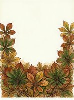 Autumn foliage border with hand-drawn leaves in warm fall colors arranged on cream background, isolated and ready for design projects like invitations, cards, and seasonal marketing materials.