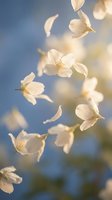 Delicate white flower petals floating gracefully through sunlit air against soft blue sky background creating dreamy spring atmosphere for nature designs.