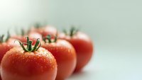 Fresh ripe red tomatoes with water droplets arranged in row on clean white surface for healthy cooking and organic food concepts.