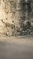 Weathered concrete wall corner with cracked aged surface texture and smooth floor meeting point for industrial construction backgrounds.