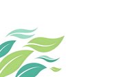 Abstract green leaves flowing on white background for eco-friendly design projects and natural branding materials.