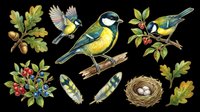 Isolated birds and botanical elements on transparent background, ready for t-shirt design, clipart, stickers, sublimation and print-on-demand projects.