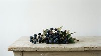 Fresh black currants with green leaves arranged on rustic wooden surface, isolated on white background for food styling, culinary design, and recipe illustration projects.