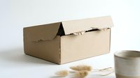 Open cardboard shipping box with torn flap on white surface, perfect for e-commerce packaging and delivery concepts in business logistics.