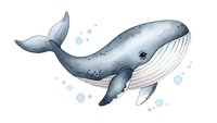 Watercolor humpback whale swimming with bubbles isolated on white background for marine life designs and ocean themed projects.
