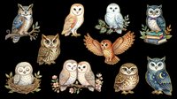 Owl species collection isolated on transparent background, ready for t-shirt designs, clipart, stickers, sublimation and print-on-demand products.