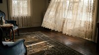 Sunlit room with sheer lace curtains filtering natural light onto hardwood flooring and ornate area rug, creating elegant interior ambiance for home decor and design projects.