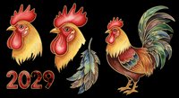 Rooster heads and full rooster illustration with feathers isolated on transparent background, ready for t-shirt design, clipart, stickers, sublimation and print-on-demand products.