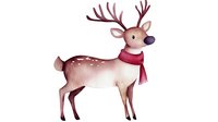 Watercolor reindeer wearing red scarf with large antlers, standing pose in soft brown and white tones, winter holiday character for seasonal designs.