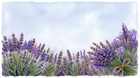 Watercolor lavender field border with purple flowers and green stems on textured paper background for botanical designs and natural decorations.