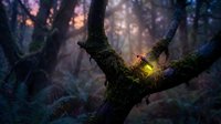 Magical glowing light nestled in moss-covered tree branches creates enchanting forest atmosphere during twilight hours for fantasy storytelling concepts.
