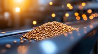 Raw coffee beans on industrial conveyor belt with warm lighting and bokeh effect in background, selective focus shows quality control process in modern roasting facility.