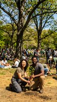 Young diverse couple planting sapling together in park during community environmental event with large trees and crowd in background.