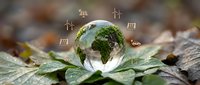 Glass sphere reflecting green forest surrounded by autumn leaves with renewable energy icons floating above representing environmental sustainability.