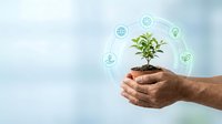 Hands holding soil with green seedling surrounded by sustainability icons representing renewable energy, eco-friendly practices, and environmental conservation for business and corporate use.