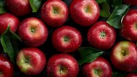 Fresh red apples with water drops and green leaves arranged in rows, macro view showing natural texture and vibrant color for food and harvest concepts.