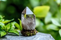 Clear quartz crystal point with terminated faces stands on natural stone base against lush green foliage background, showcasing mineral specimen in outdoor setting.