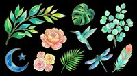 Watercolor botanical elements with hummingbird, dragonfly, moon and flowers isolated on transparent background. Ready for t-shirt design, clipart, stickers, sublimation and print-on-demand projects.