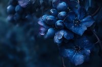Moody dark blue spring blossoms with water drops in moonlight atmosphere, dramatic floral macro photography with shallow depth of field and bokeh effect.