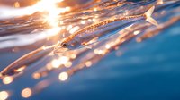 Small translucent fish swimming in crystal clear water with sunlight creating golden bokeh reflections and rays through rippling surface at sunset.