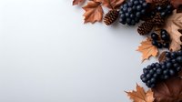 Autumn corner composition with dark blue grapes clusters, brown maple leaves and pine cones on white background. Copy space for seasonal design.