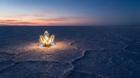 Glowing golden lotus flower blooming on cracked desert earth at twilight, symbolizing hope and transformation in arid landscape.