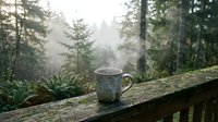 Steaming ceramic mug on a rustic wooden railing with misty forest and tall evergreen trees in the soft morning light background.