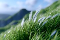 Soft white feather grass swaying in breeze against blurred green mountain landscape background, creating peaceful natural scene with selective focus.