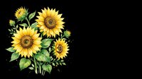 Watercolor sunflowers bouquet isolated on transparent background, ready for t-shirt design, stickers, sublimation, print on demand, and clipart use.