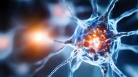 Neuron cell with glowing nucleus and dendrites in blue and orange light for medical research and neuroscience education concepts.