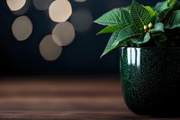 Green plant in dark glittery pot against blurred bokeh background on wooden surface, creating modern minimalist holiday atmosphere with festive lighting.