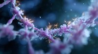 Delicate pink snowflakes with glowing golden highlights against dark blue winter background create magical seasonal atmosphere for holiday designs and cards.