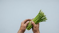 Senior man holding fresh green asparagus spears against neutral background, suitable for healthy eating, nutrition, cooking, and organic food marketing materials.