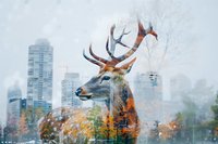 Double exposure of majestic deer stag with antlers combined with autumn forest and urban cityscape creating dreamy artistic nature composition.